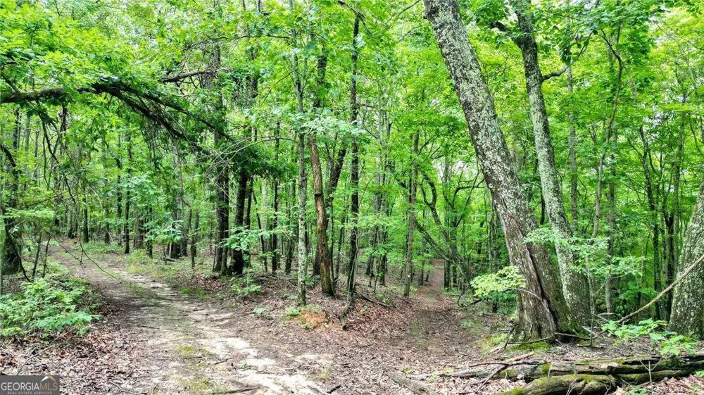 TRT A Cascade DR Jasper, GA 30143