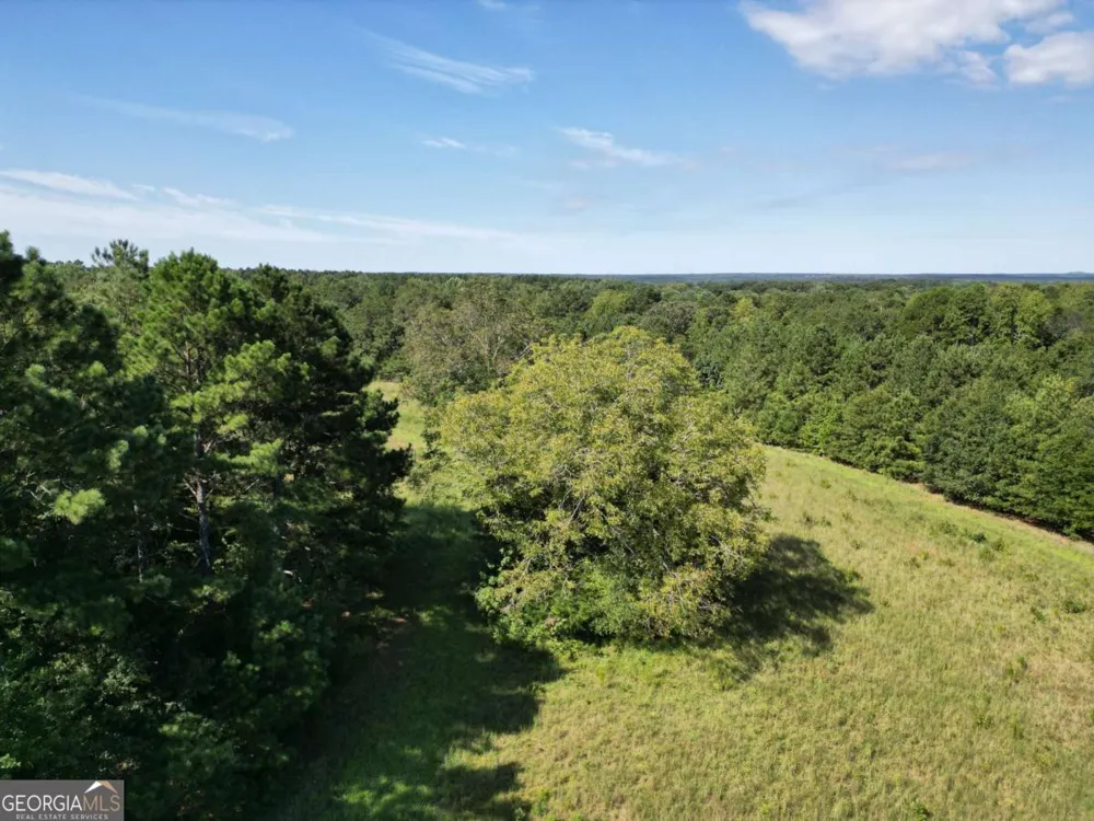 1170 Ash RD Bishop, GA 30621