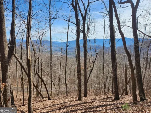 #28 Overlook Loop