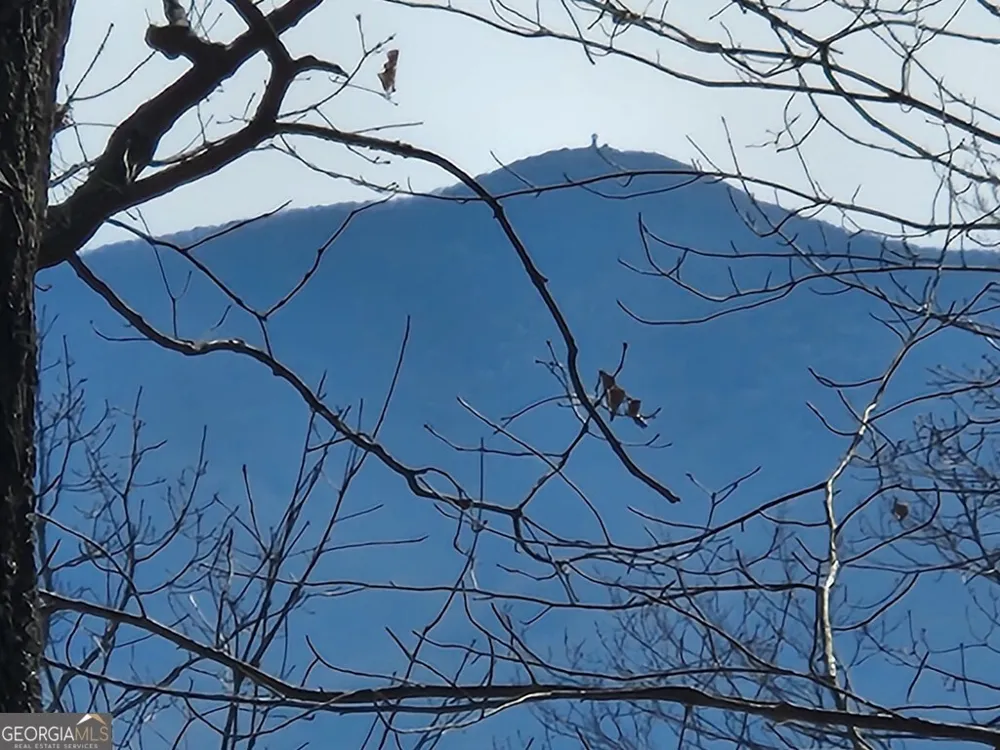 #28 Overlook Loop Young Harris, GA 30582