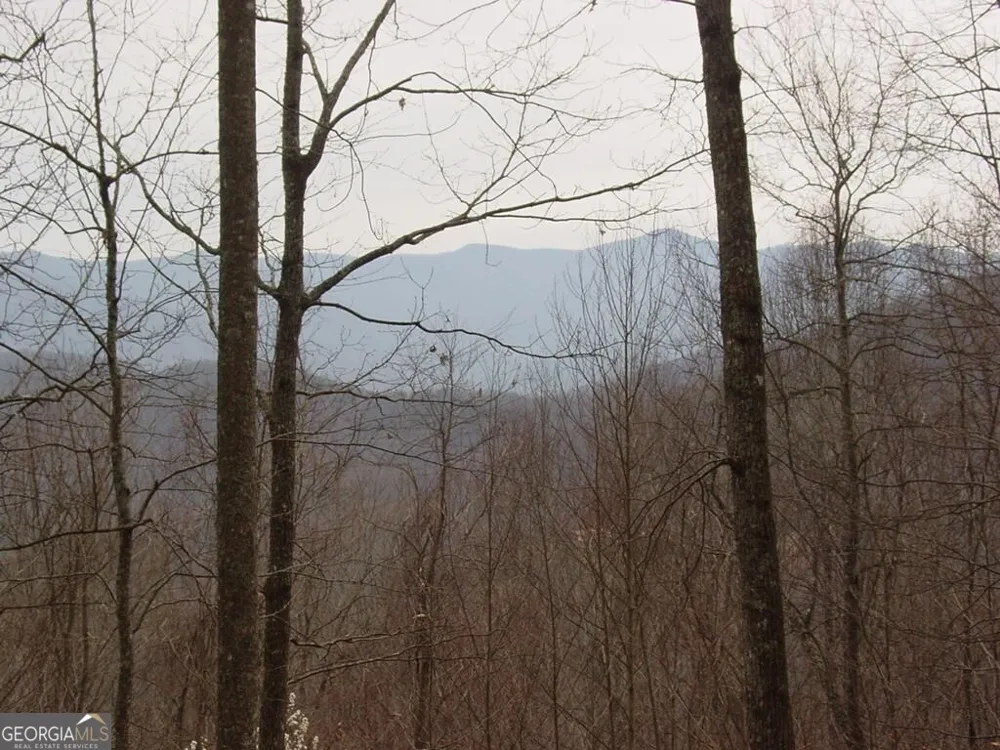 #28 Overlook Loop Young Harris, GA 30582