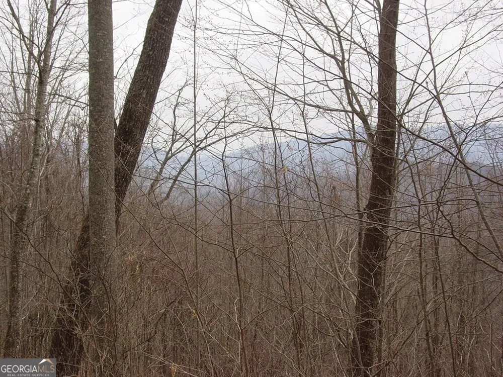 #28 Overlook Loop Young Harris, GA 30582