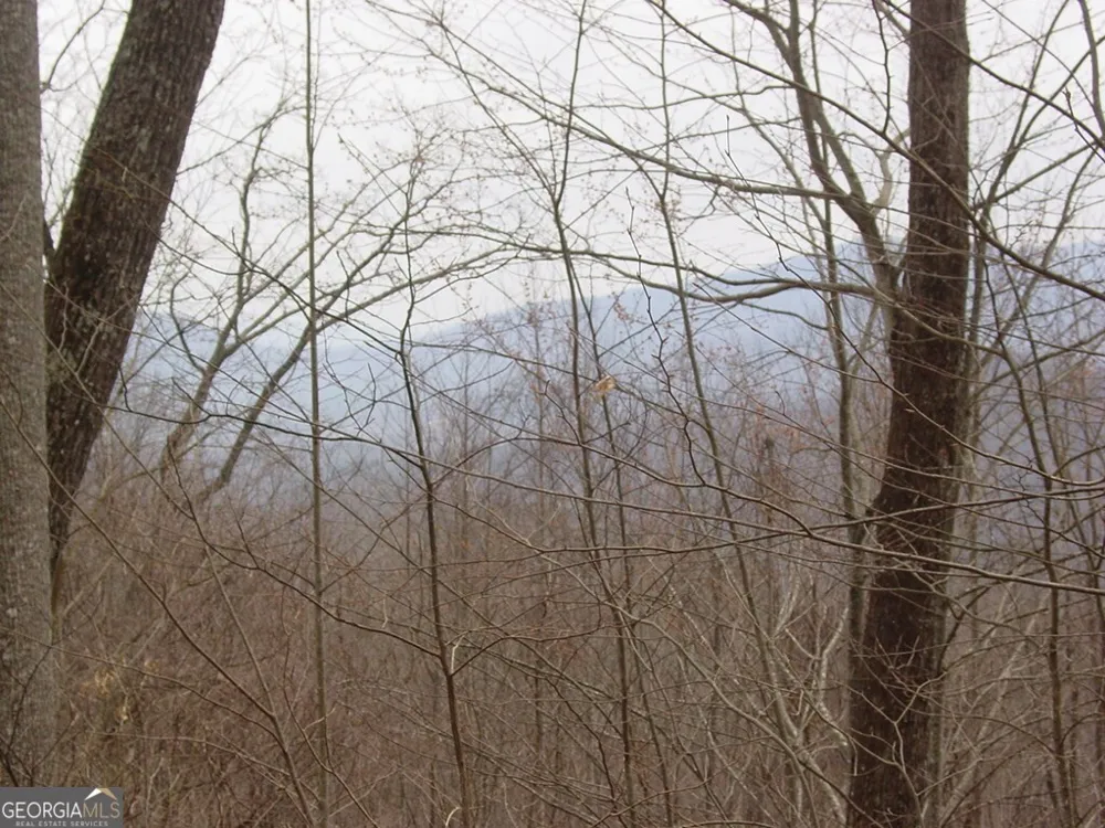 #28 Overlook Loop Young Harris, GA 30582