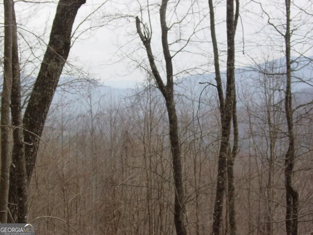 #28 Overlook Loop Young Harris, GA 30582
