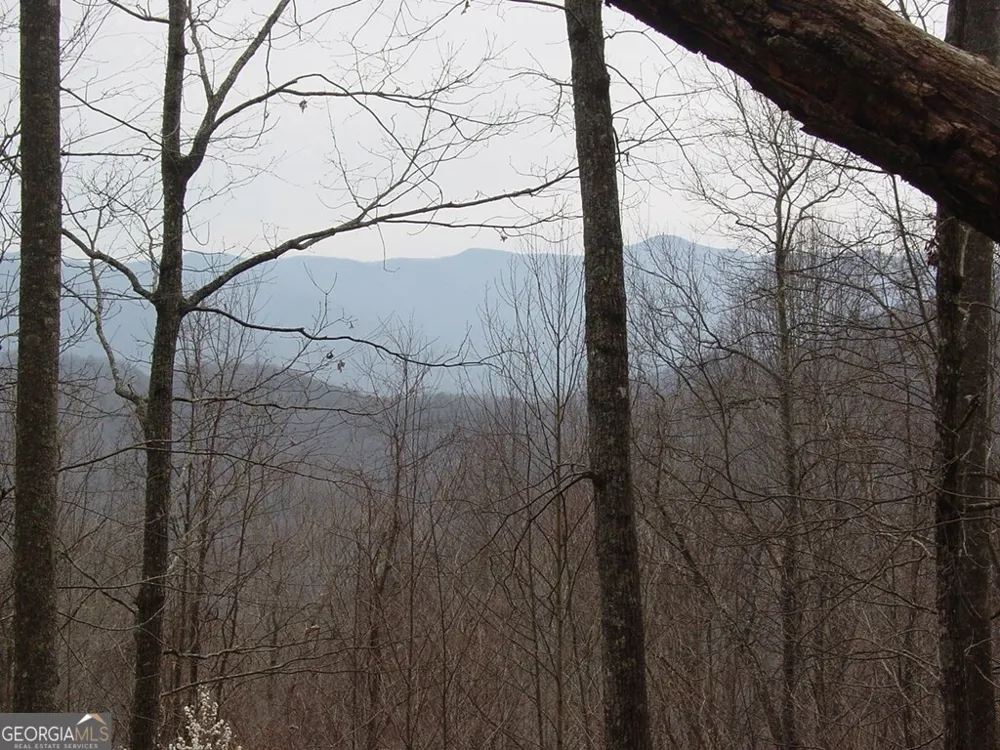#28 Overlook Loop Young Harris, GA 30582