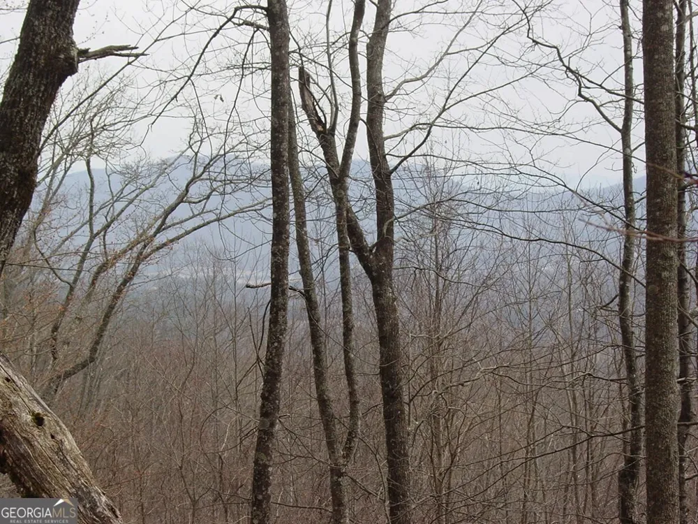 #28 Overlook Loop Young Harris, GA 30582