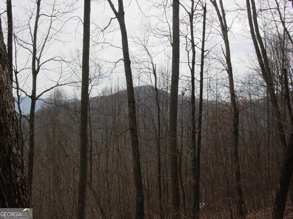#28 Overlook Loop Young Harris, GA 30582