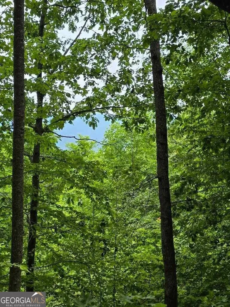 #28 Overlook Loop Young Harris, GA 30582