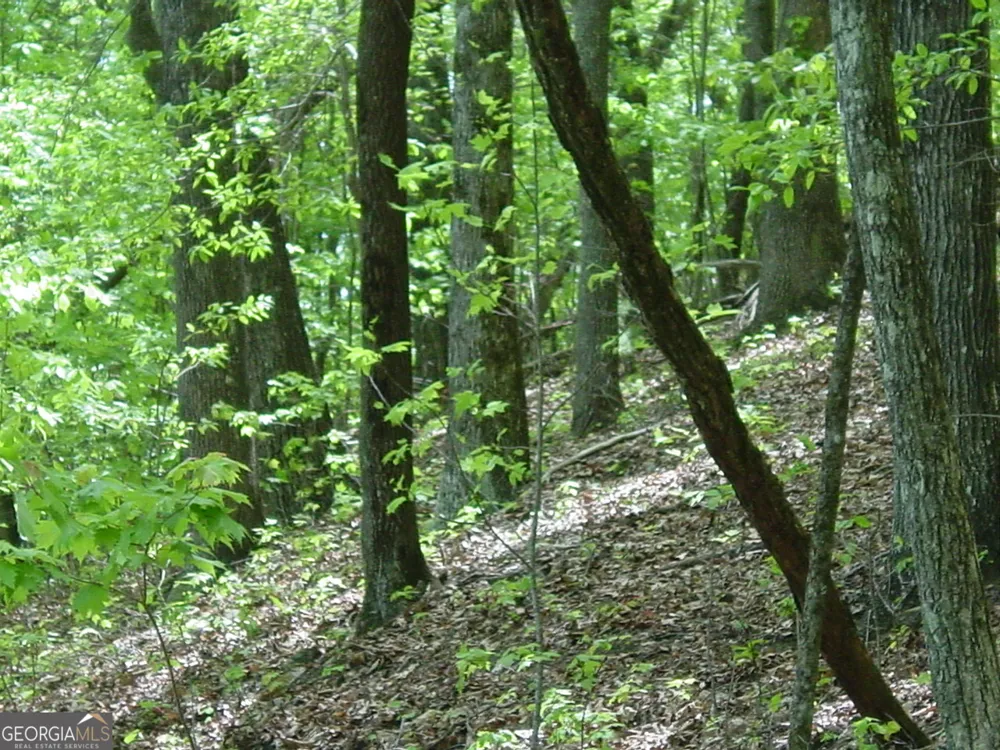 #28 Overlook Loop Young Harris, GA 30582