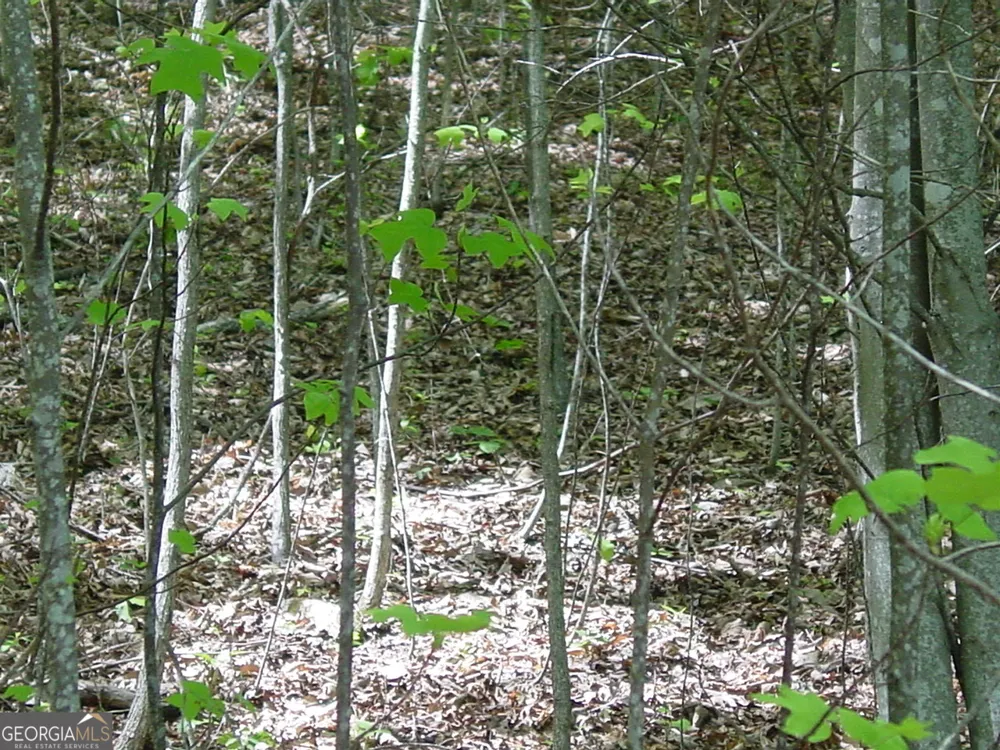 #28 Overlook Loop Young Harris, GA 30582