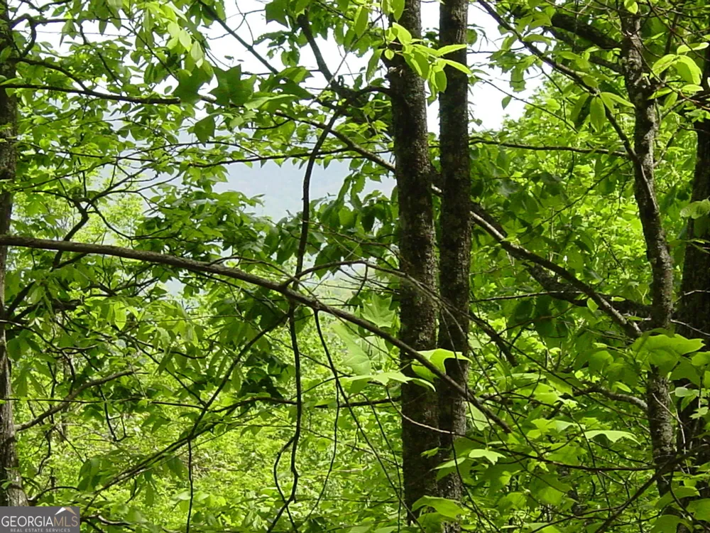 #28 Overlook Loop Young Harris, GA 30582