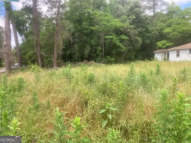 141 Ramsey ST Milledgeville, GA 31061