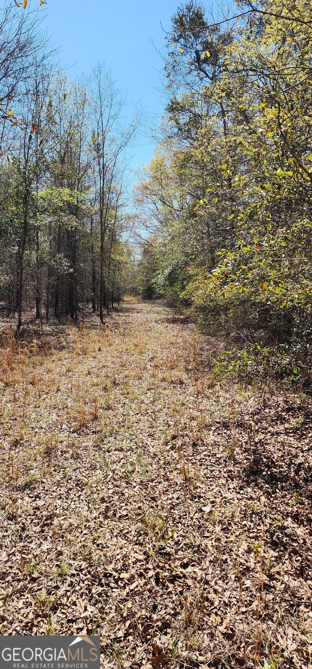 0 Marvin Church RD Lyons, GA 30436