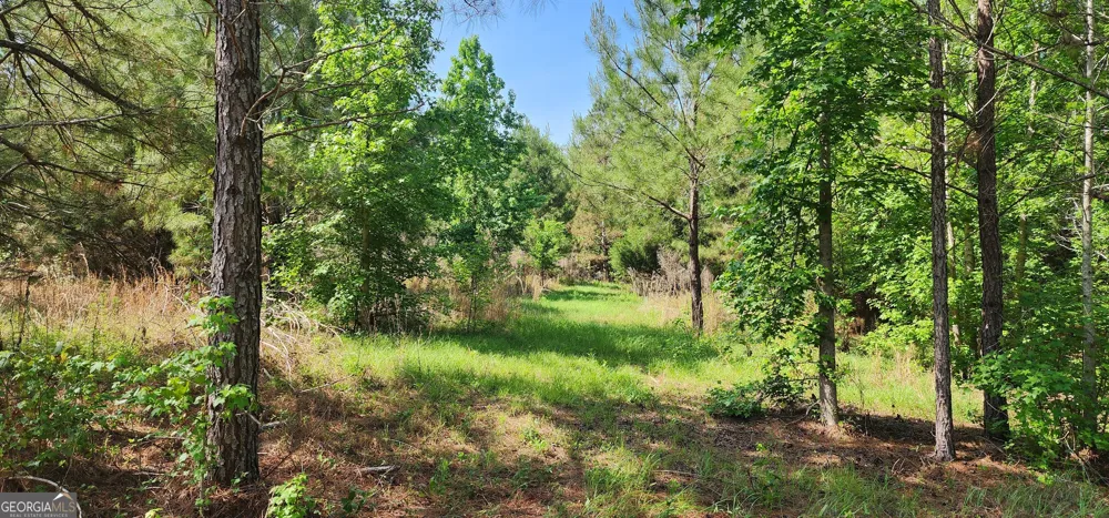 0 Marvin Church RD Lyons, GA 30436