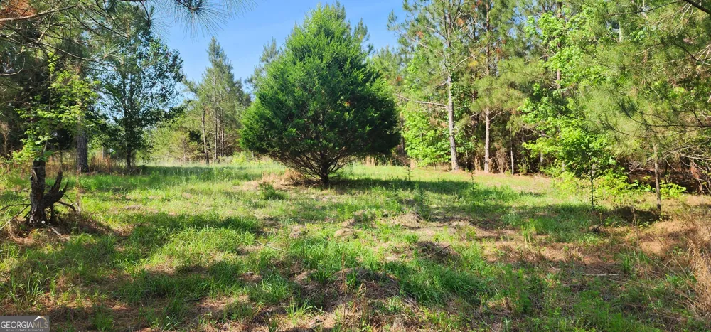 0 Marvin Church RD Lyons, GA 30436