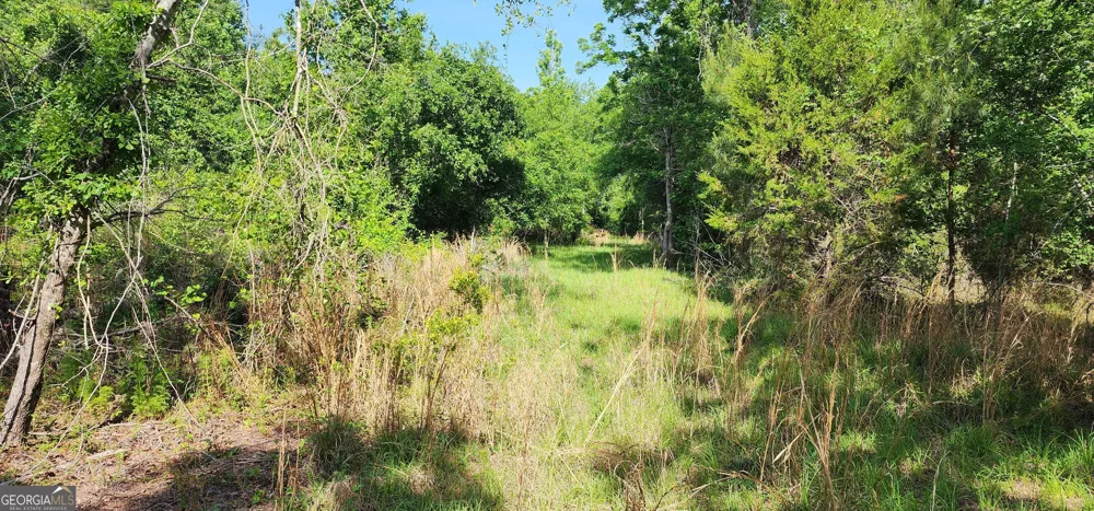0 Marvin Church RD Lyons, GA 30436