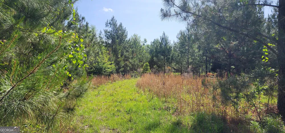 0 Marvin Church RD Lyons, GA 30436
