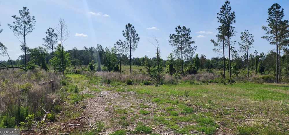0 Marvin Church RD Lyons, GA 30436
