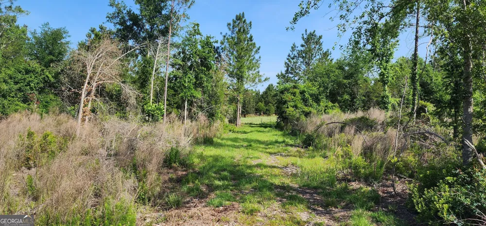 0 Marvin Church RD Lyons, GA 30436