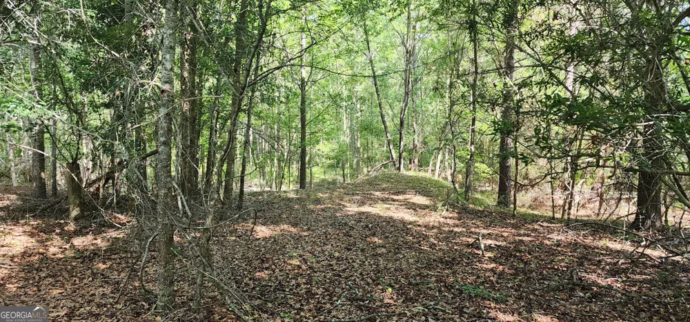 0 Marvin Church RD Lyons, GA 30436