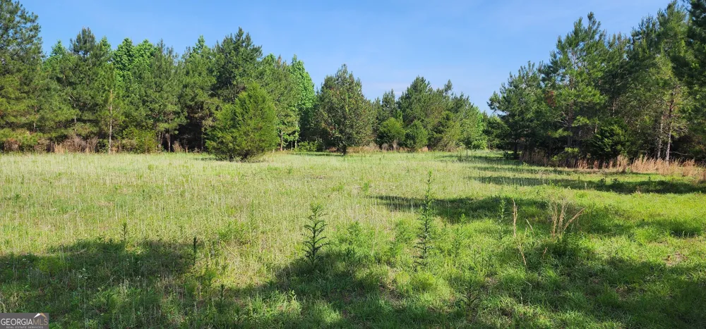 0 Marvin Church RD Lyons, GA 30436