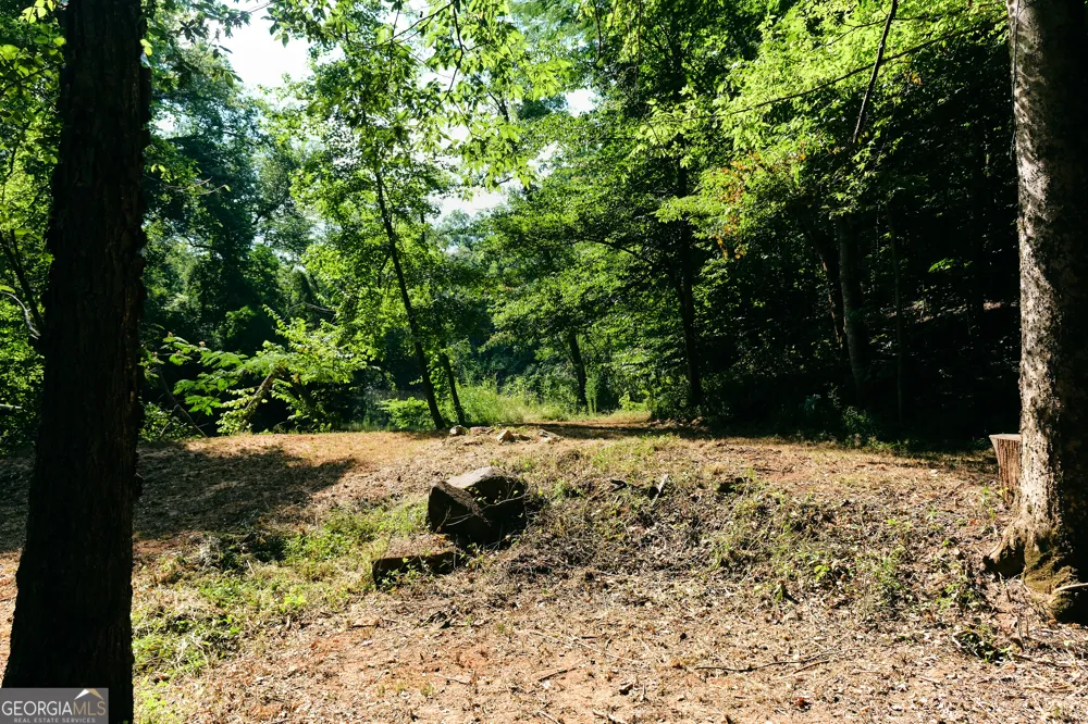 177 Antler DR Thomaston, GA 30286