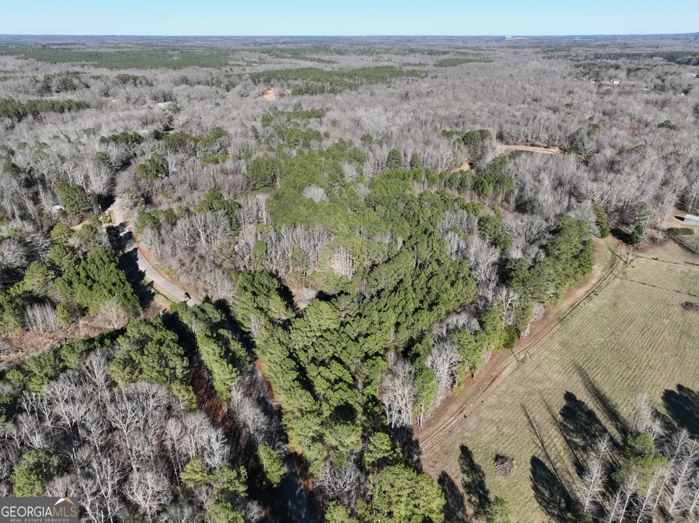 177 Antler DR Thomaston, GA 30286