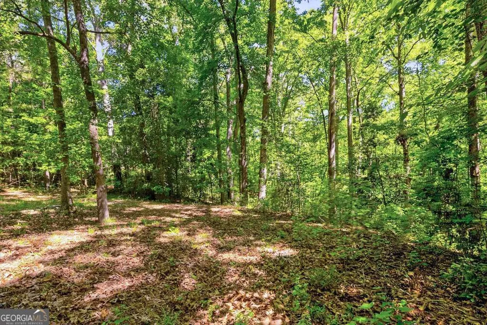 2917 Ruckersville RD Elberton, GA 30635