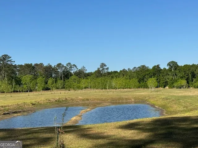 176 Niederriter LN Vidalia, GA 30474