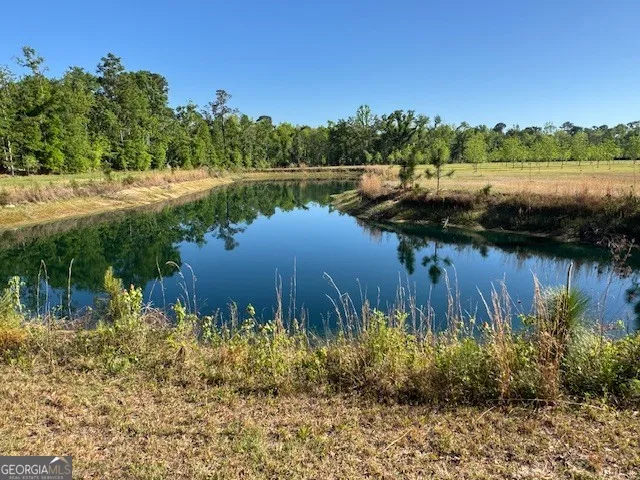 176 Niederriter LN Vidalia, GA 30474