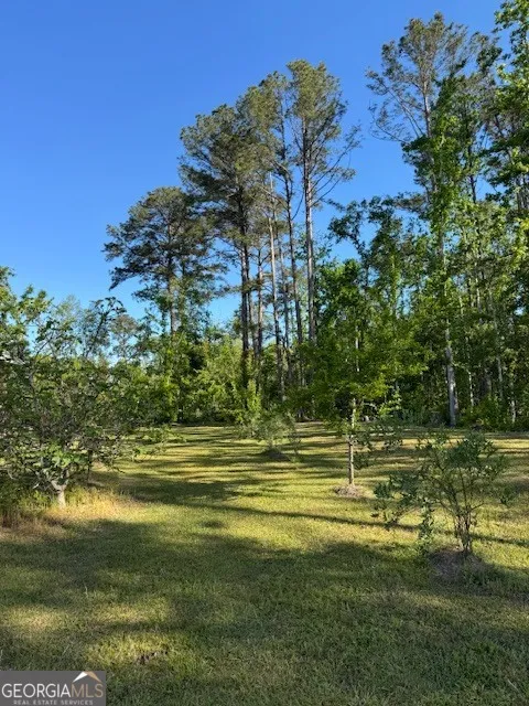 176 Niederriter LN Vidalia, GA 30474