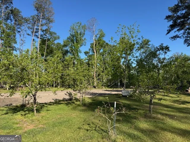 176 Niederriter LN Vidalia, GA 30474