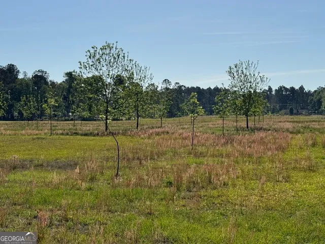 176 Niederriter LN Vidalia, GA 30474