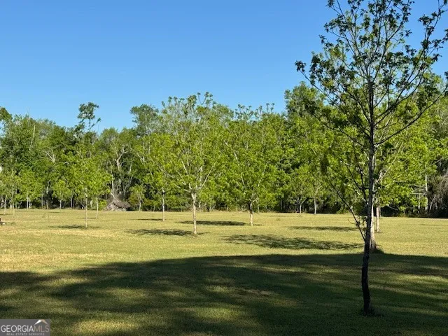 176 Niederriter LN Vidalia, GA 30474