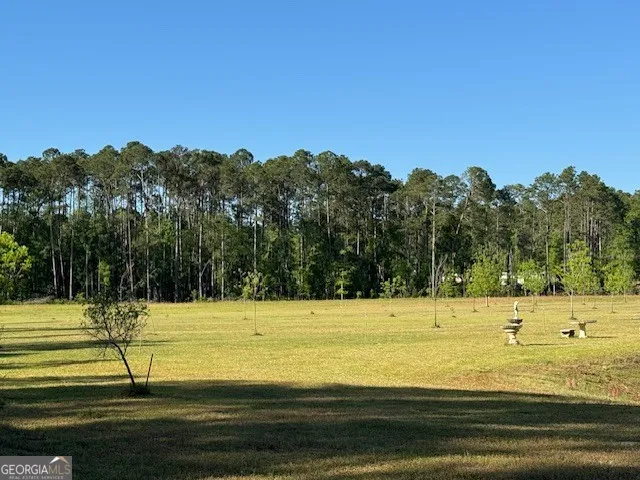 176 Niederriter LN Vidalia, GA 30474
