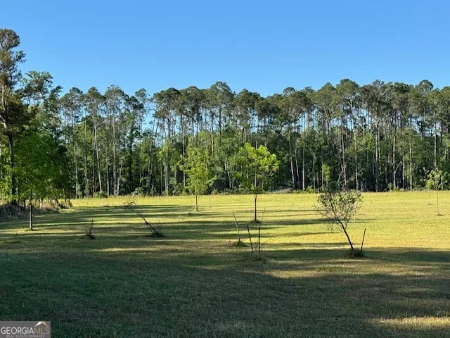 176 Niederriter LN Vidalia, GA 30474