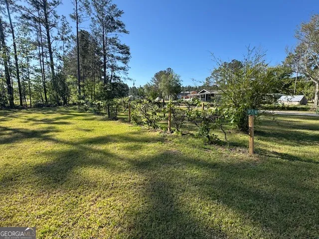 176 Niederriter LN Vidalia, GA 30474