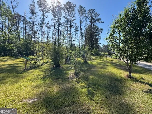 176 Niederriter LN Vidalia, GA 30474