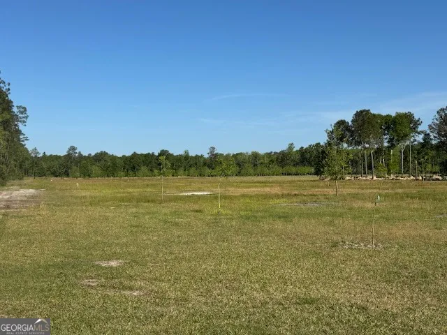 176 Niederriter LN Vidalia, GA 30474