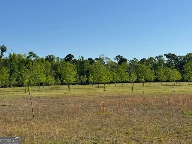 176 Niederriter LN Vidalia, GA 30474