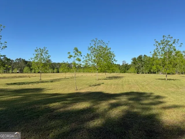 176 Niederriter LN Vidalia, GA 30474