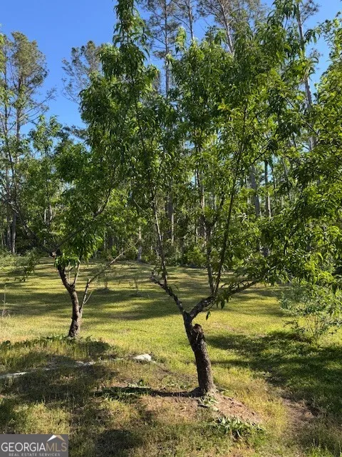 176 Niederriter LN Vidalia, GA 30474