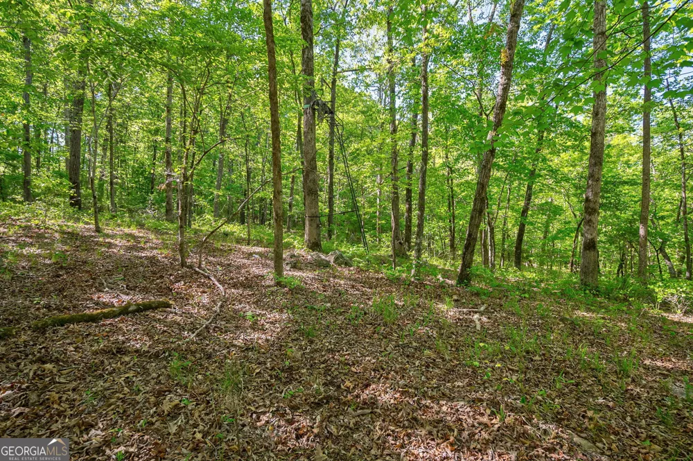 0 Brewer's Bridge RD Elberton, GA 30635