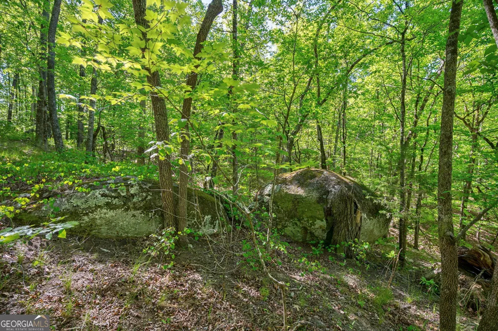 0 Brewer's Bridge RD Elberton, GA 30635