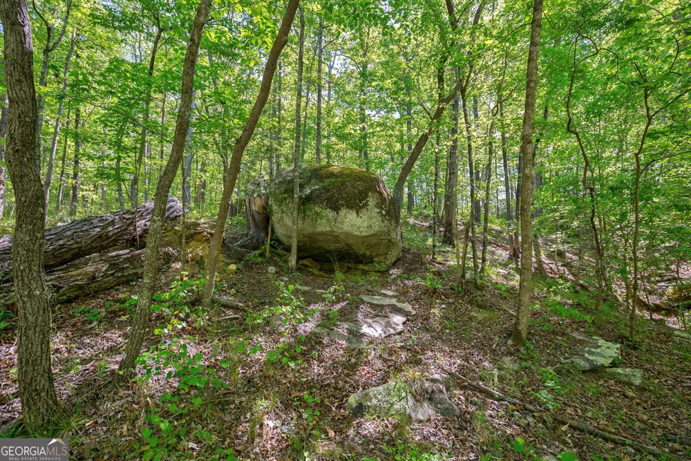 0 Brewer's Bridge RD Elberton, GA 30635