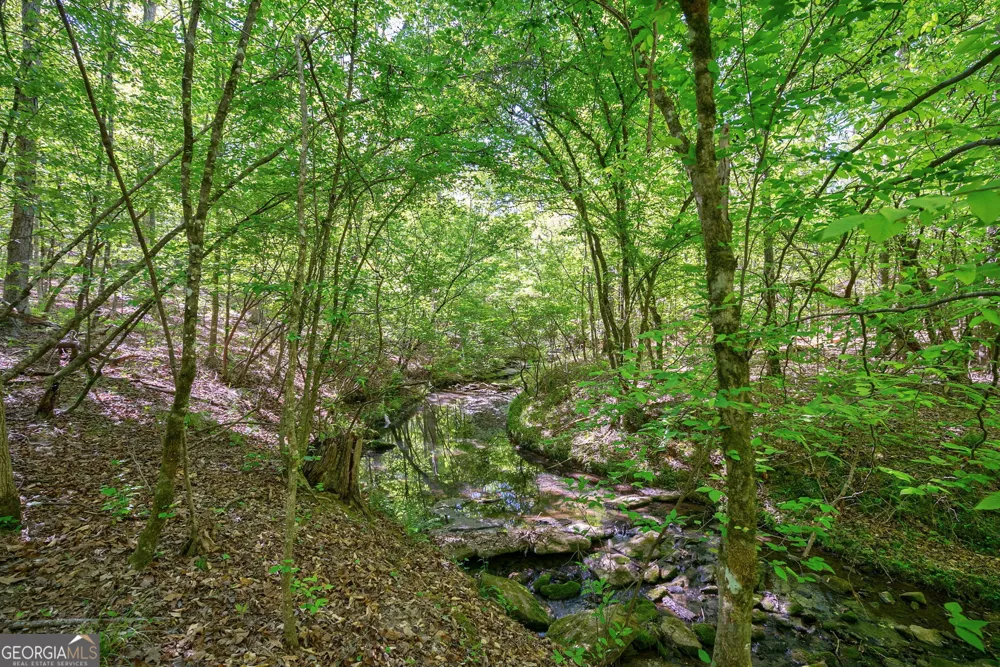 0 Brewer's Bridge RD Elberton, GA 30635