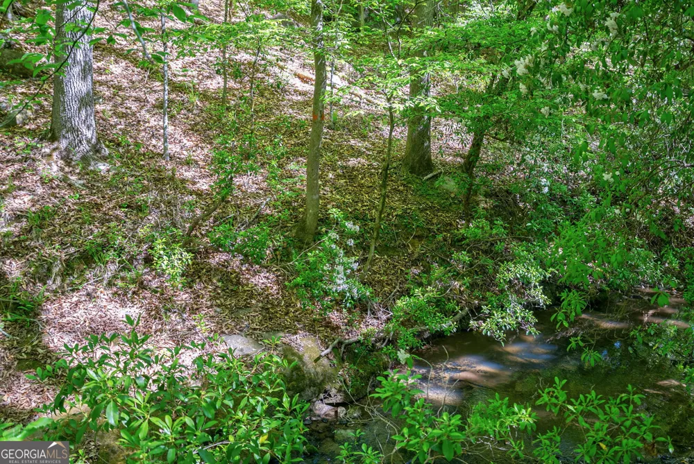 0 Brewer's Bridge RD Elberton, GA 30635