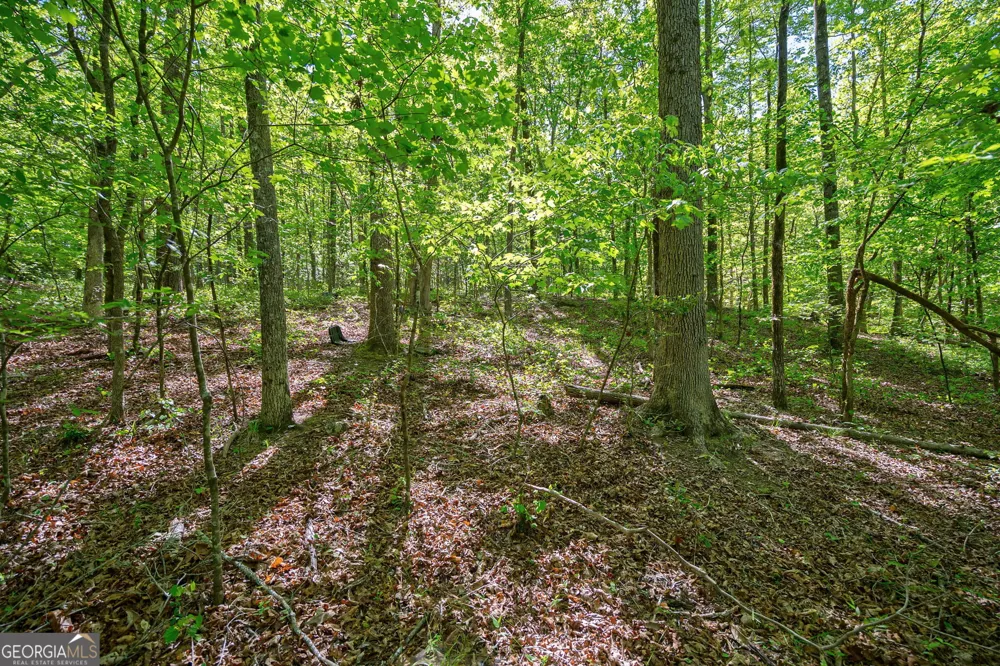 0 Brewer's Bridge RD Elberton, GA 30635