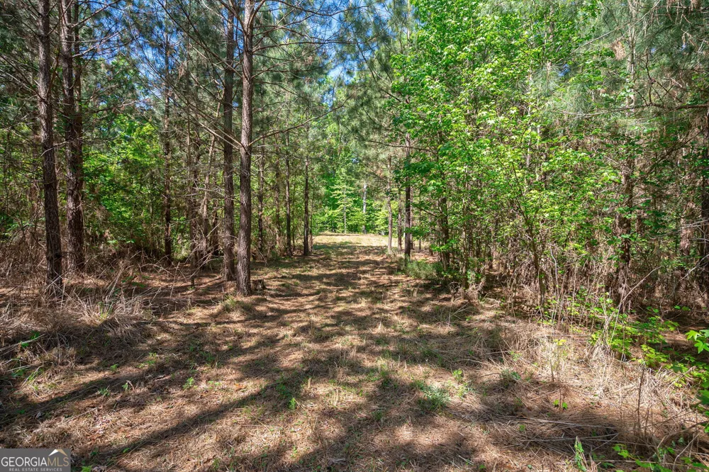 0 Brewer's Bridge RD Elberton, GA 30635