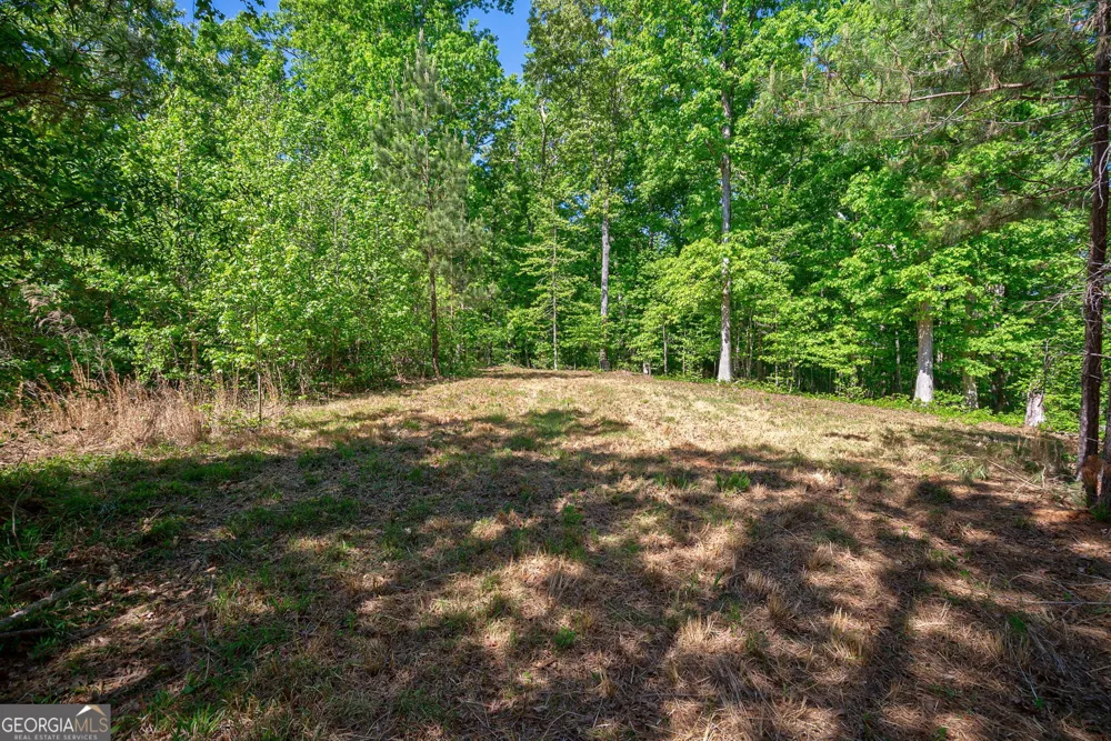 0 Brewer's Bridge RD Elberton, GA 30635